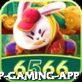 613 VIP Gaming App