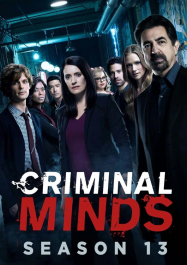 Esprits criminels Saison 13 en streaming