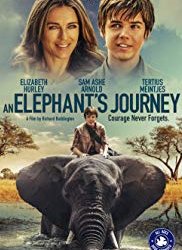 An Elephant's Journey