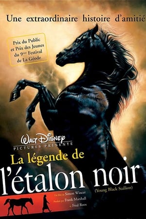 La légende de l'étalon noir