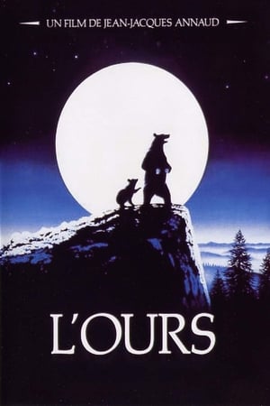 L'Ours